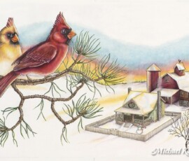 Christmas Cardinals and Farmhouse Illustration